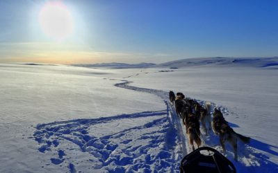 Arctic Trip 2018